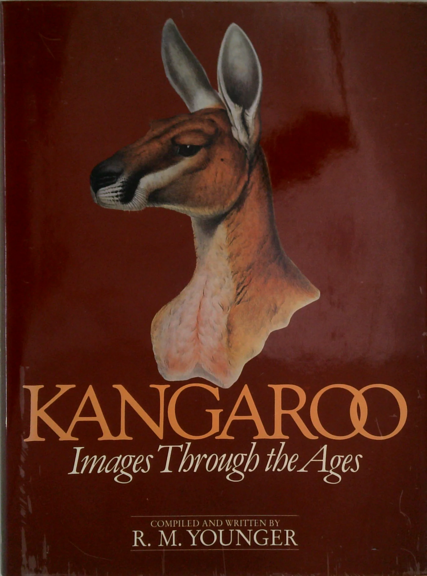 Kangaroo: Images Through The Ages