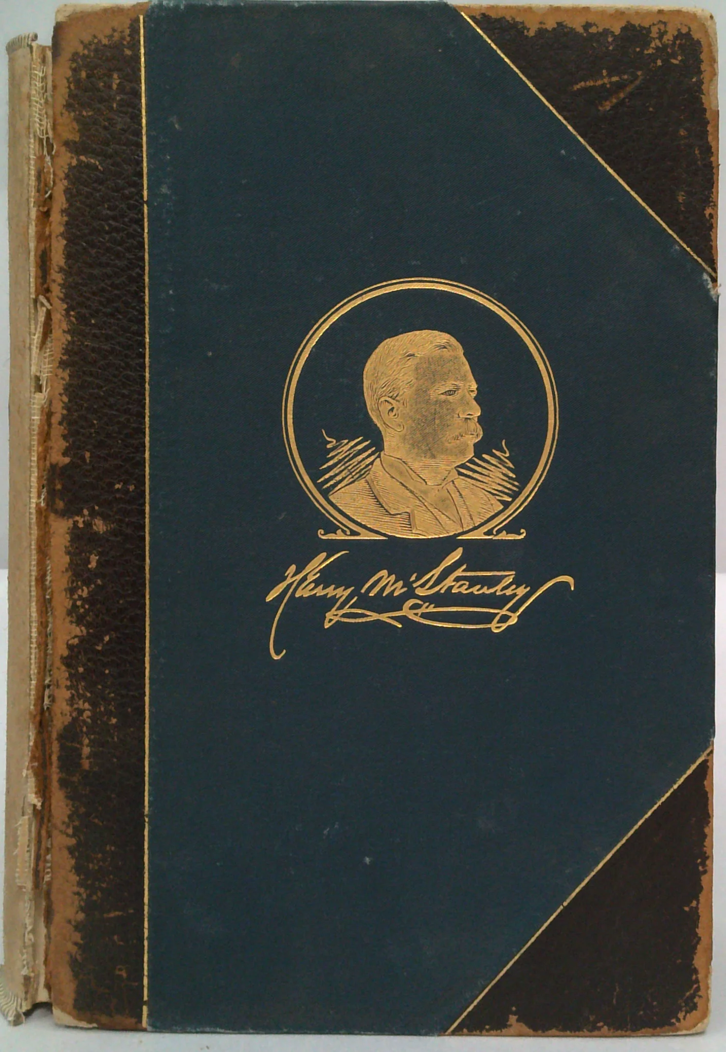 H. M. Stanley's Wonderful Adventures in Africa