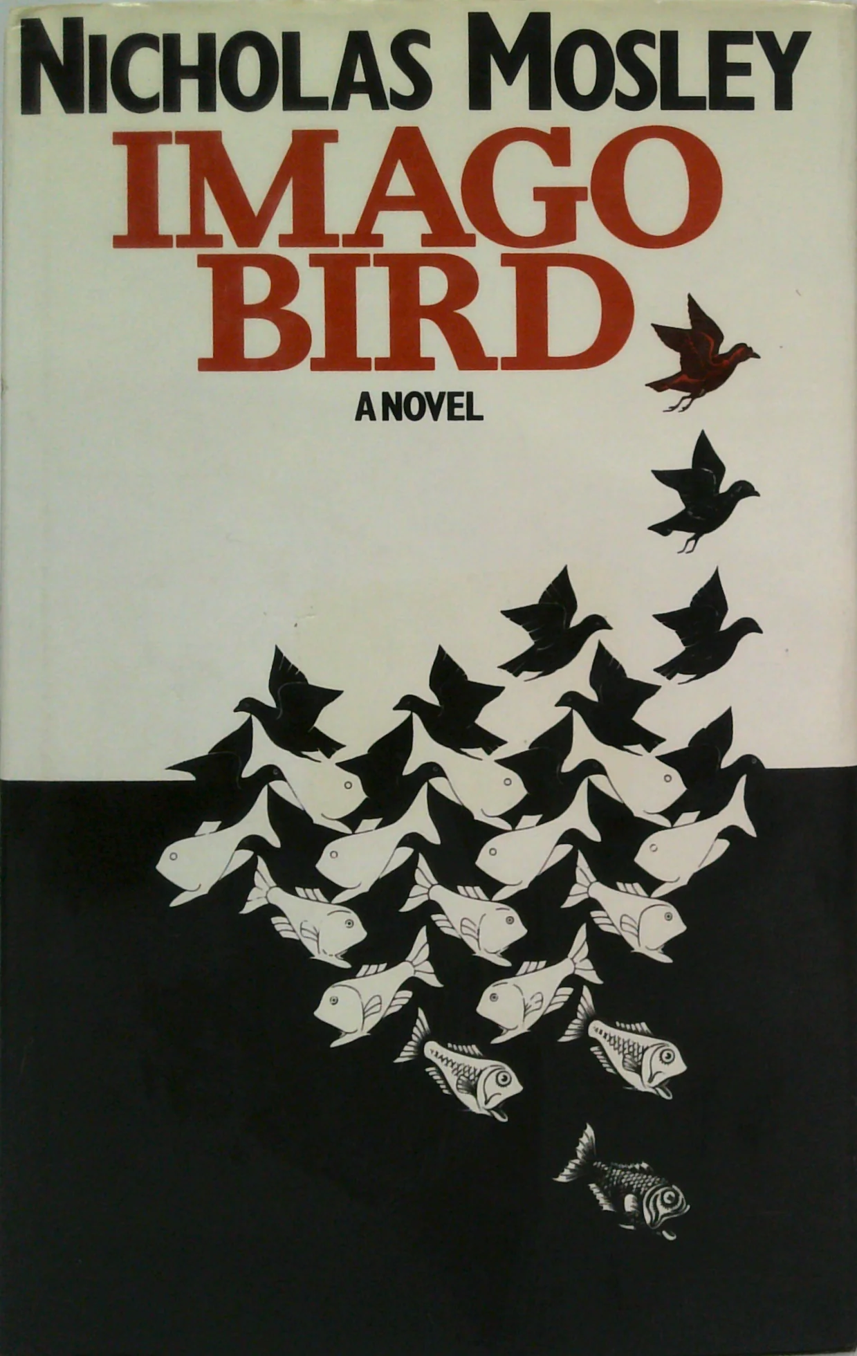 Imago Bird