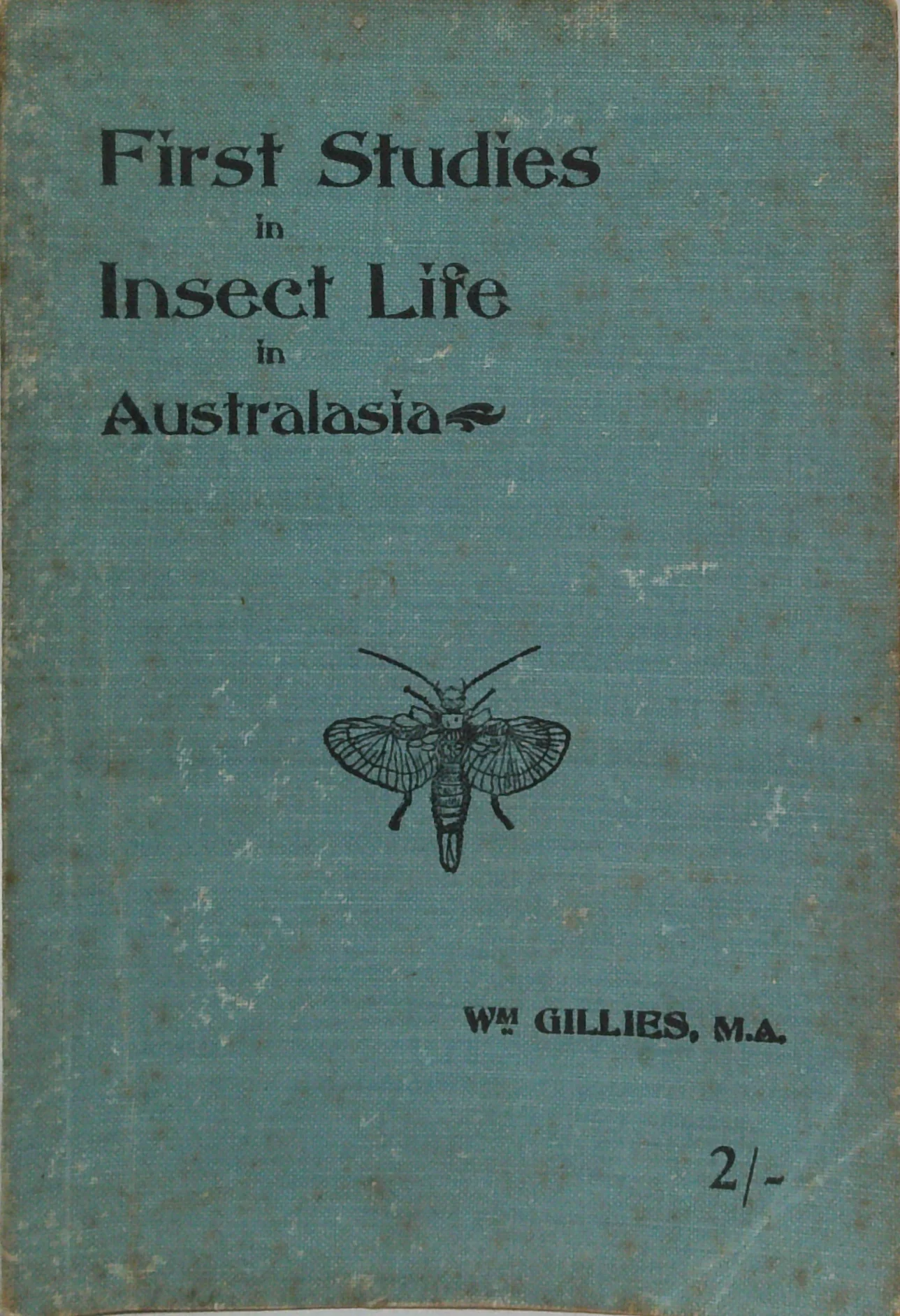 First Studies in Insect Life in Australasia