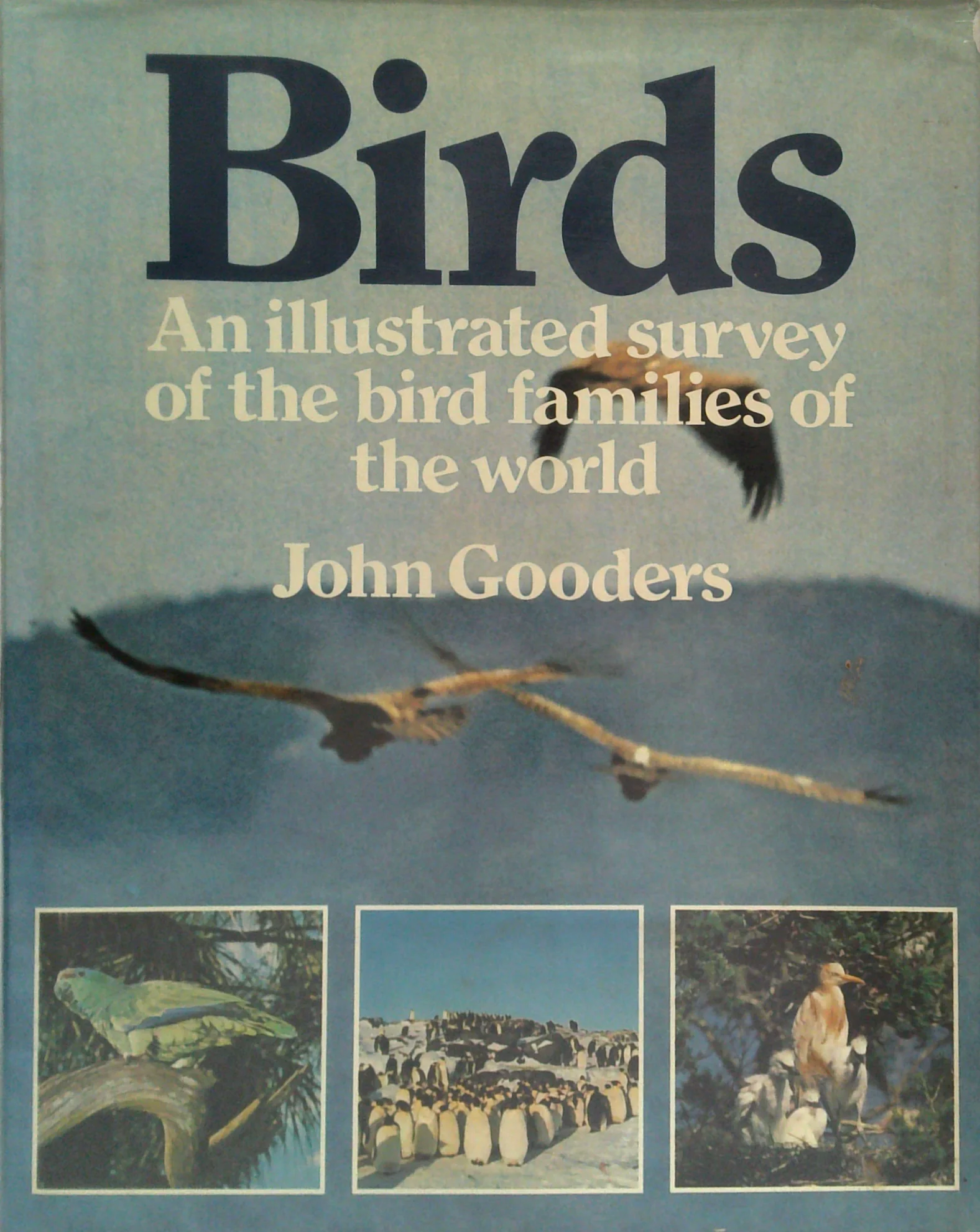 Birds: An Illustrated Survey Of The Bird Families Of The World