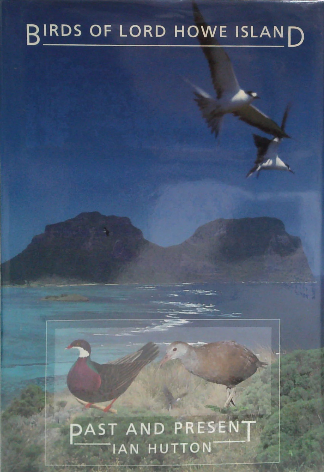 Birds Of Lord Howe Island: Past And Present