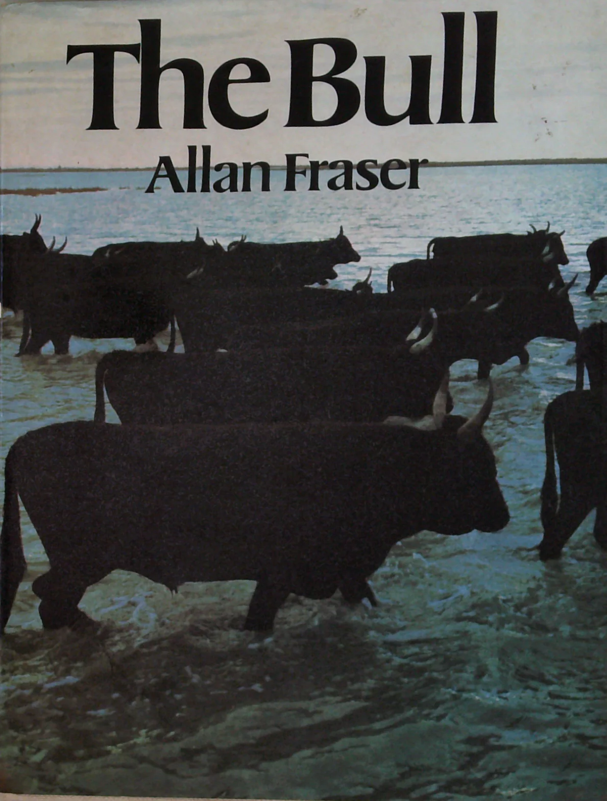 The Bull