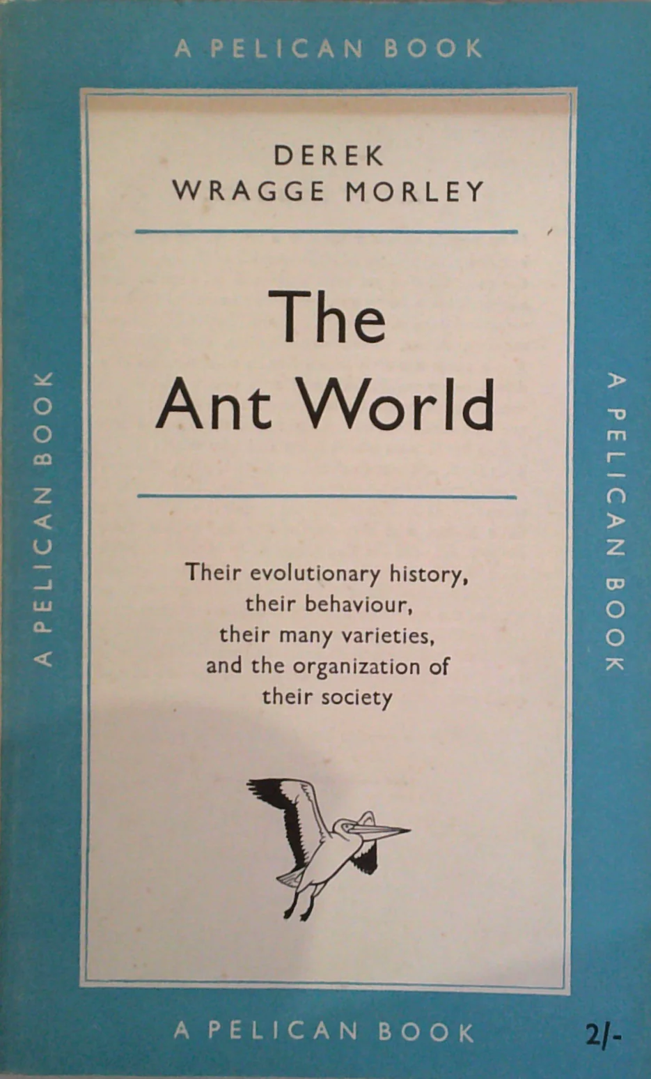 The Ant World