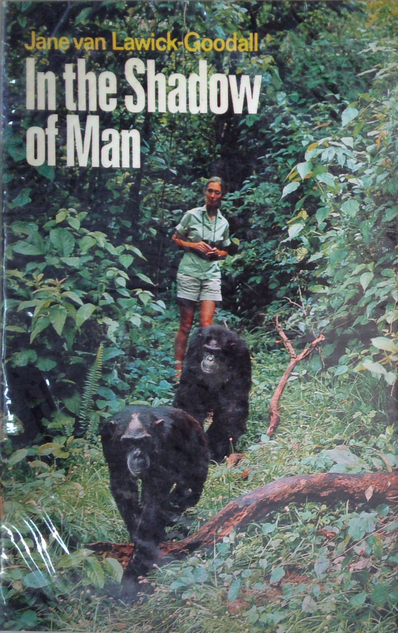 In The Shadow Of Man