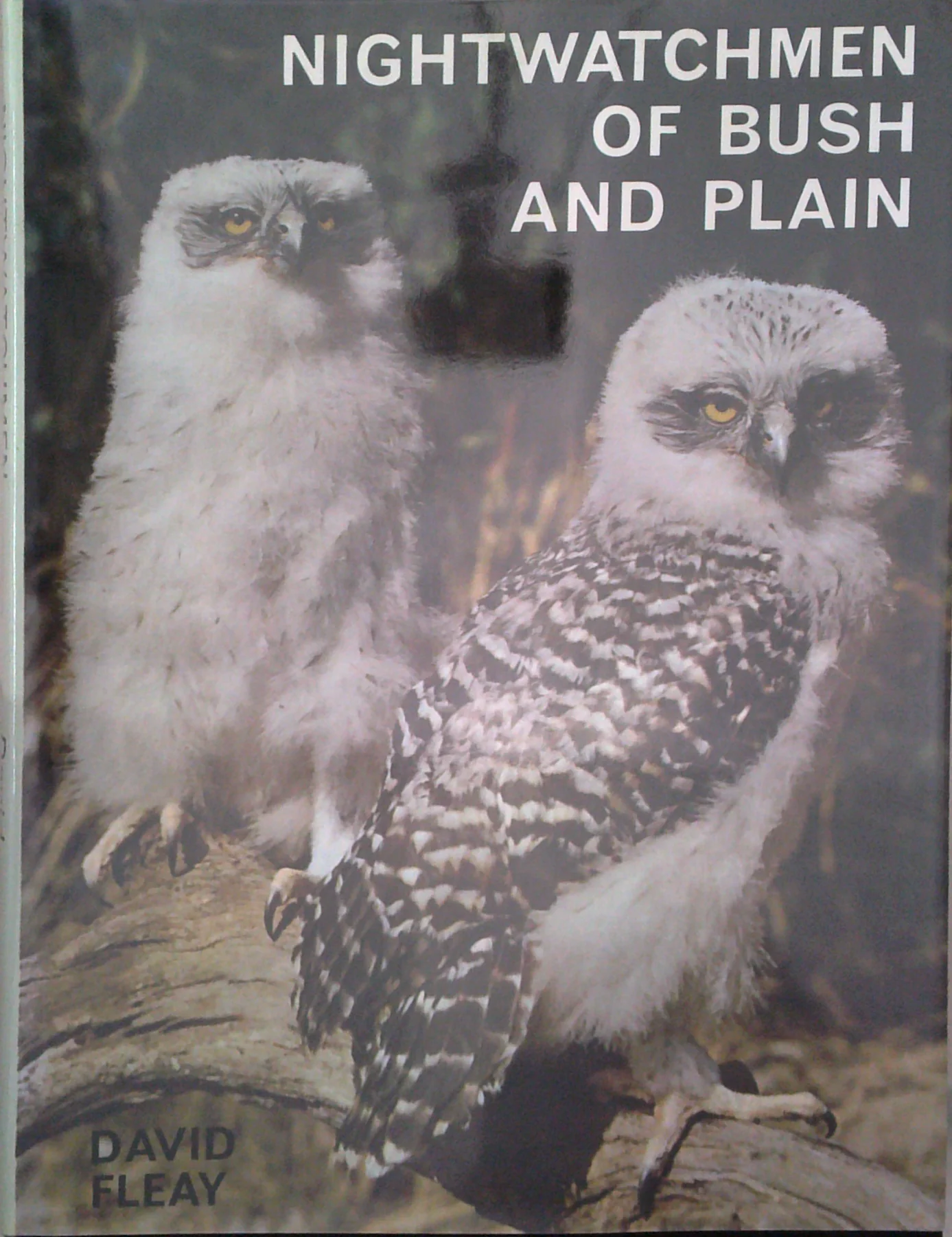 Nightwatchmen Of Bush And Plain: Australian Owls And Owl-Like Birds