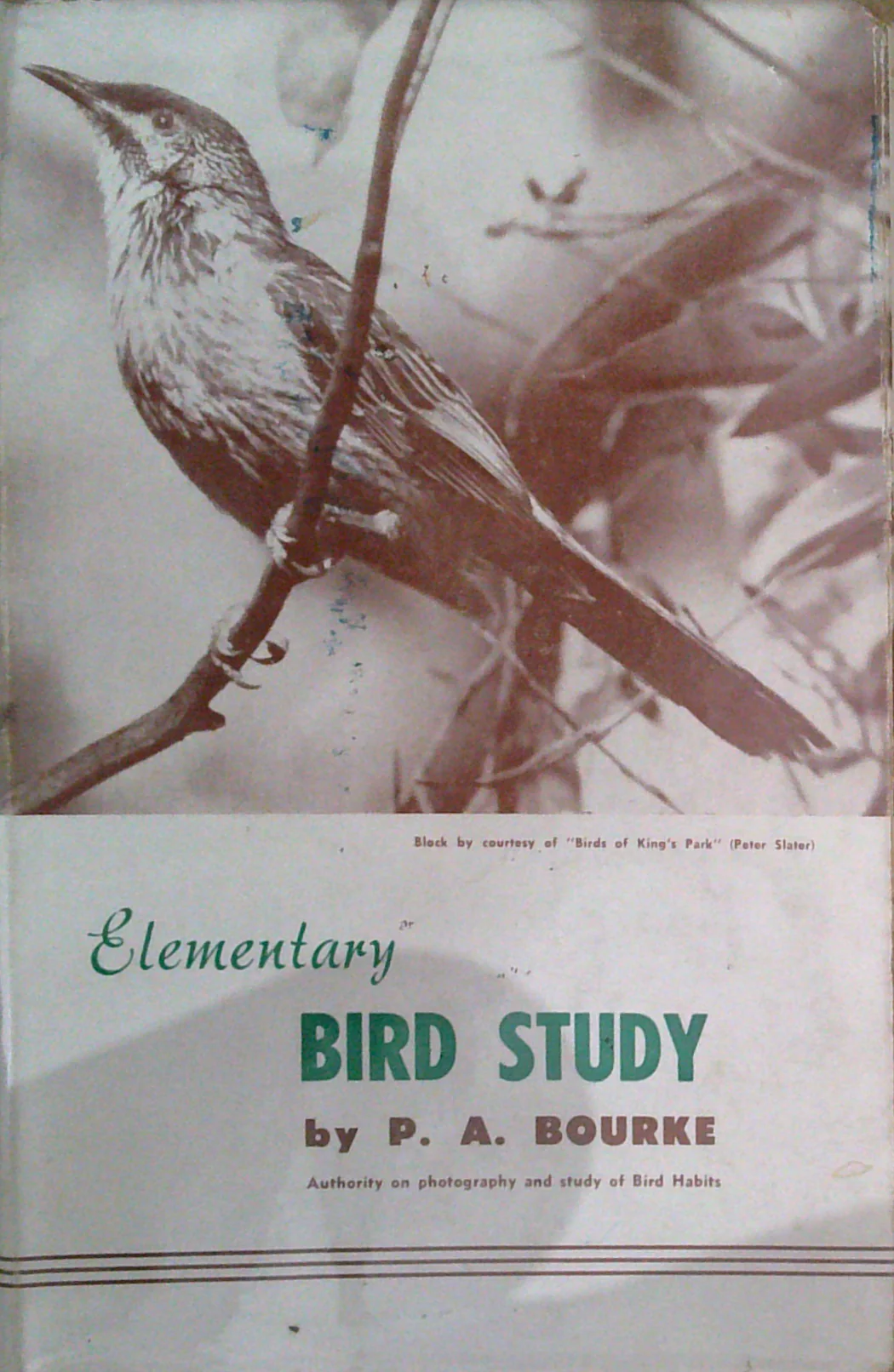 Elementary Bird Study: A Handbook Of Elementary Bird Study