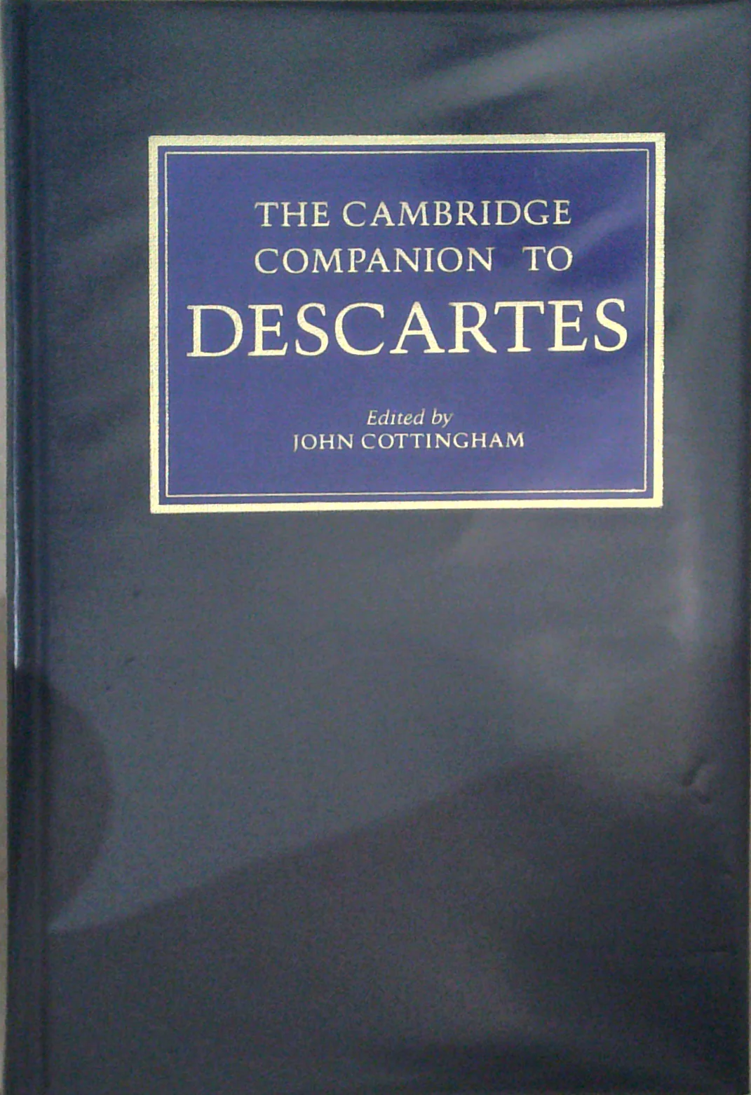 The Cambridge Companion To Descartes