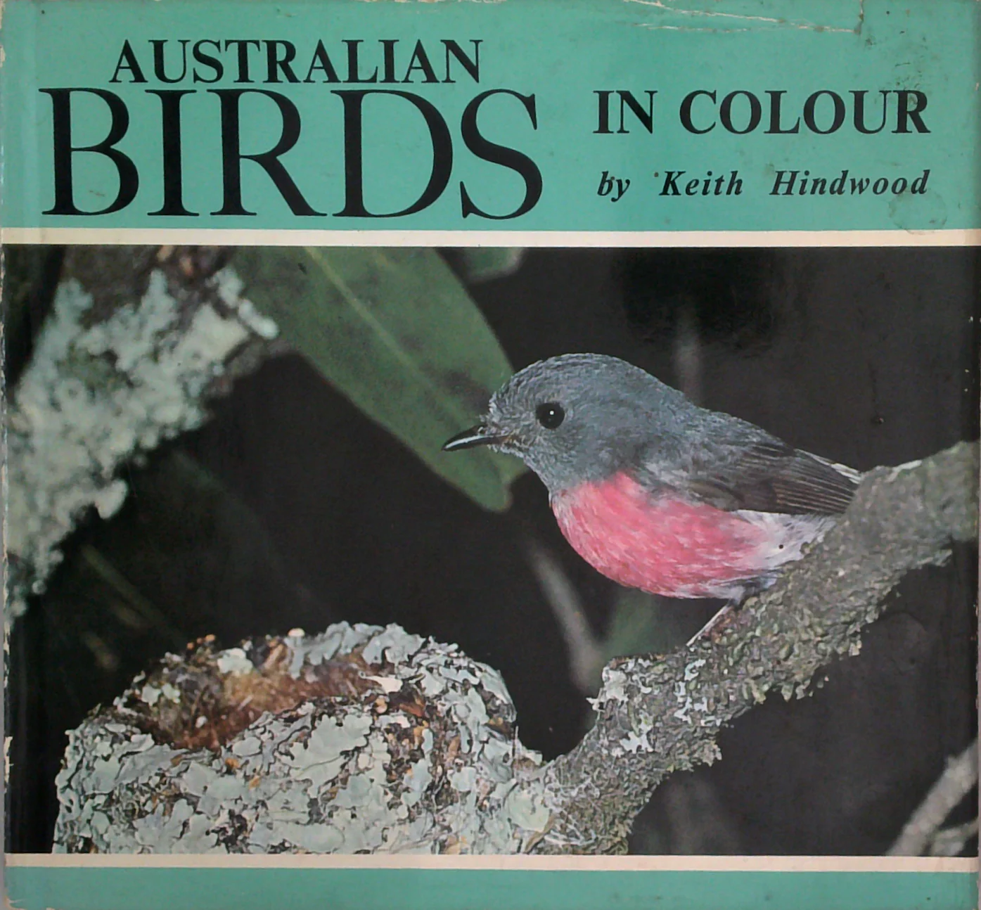 Australian Birds In Colour