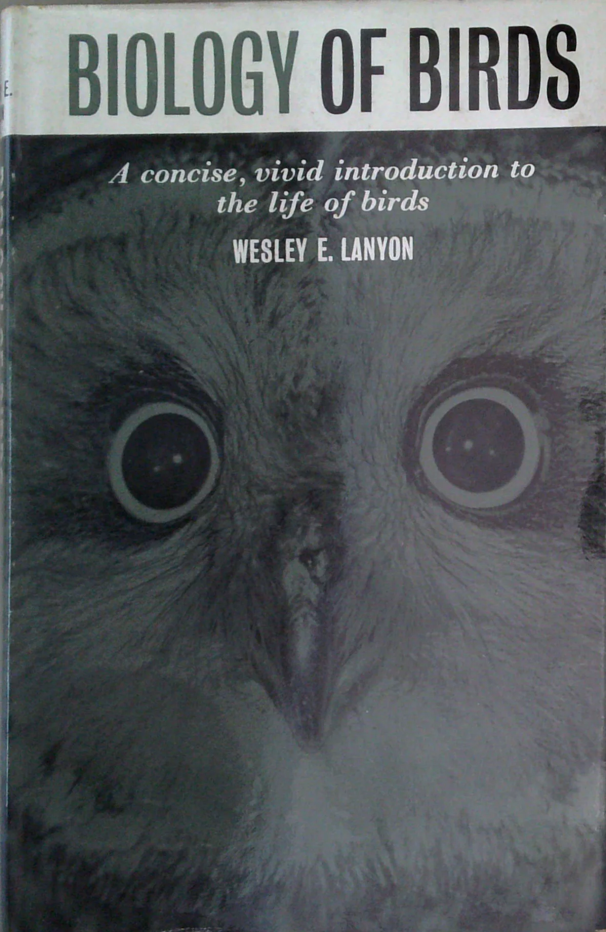 Biology Of Birds: A Concise, Vivid Introduction To The Life Of Birds