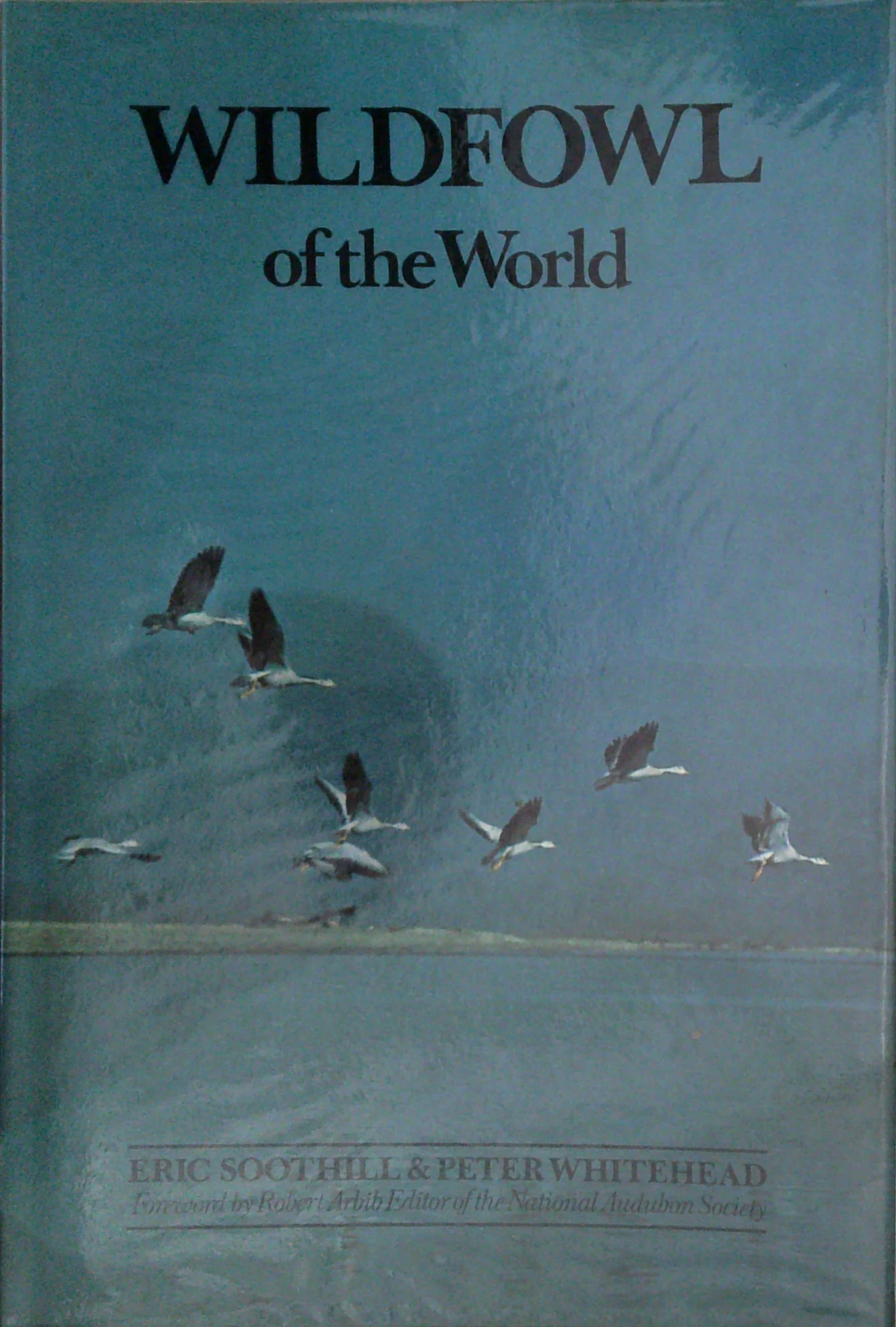 Wildfowl Of The World