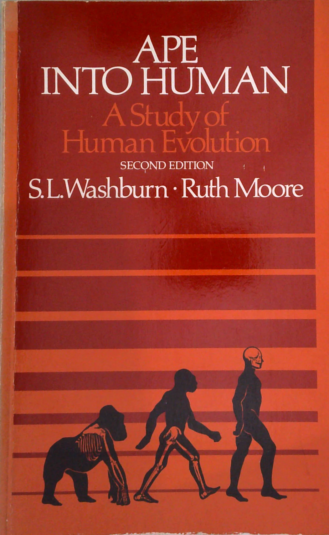Ape Into Human: A Study Of Human Evolution