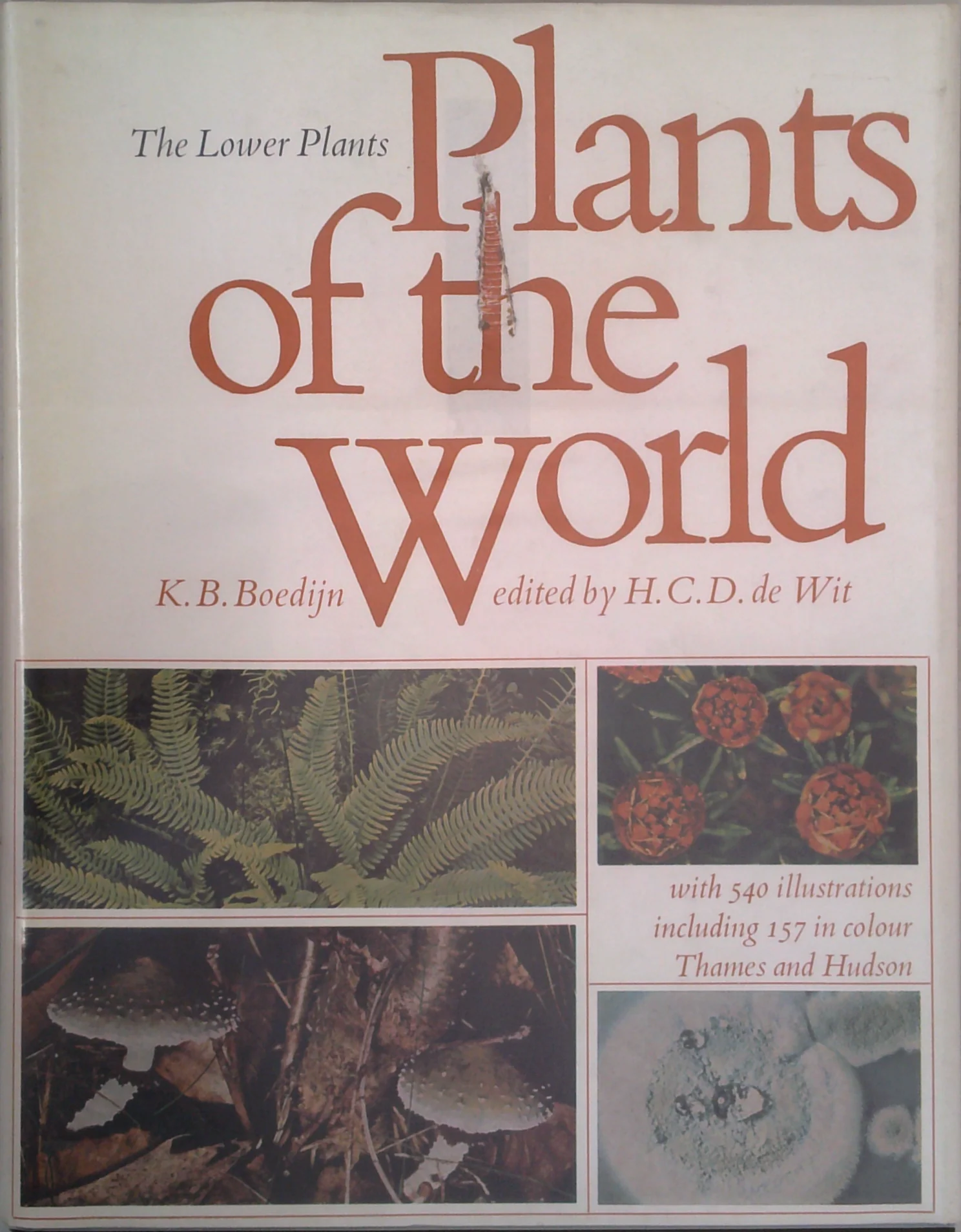 Plants Of The World: The Lower Plants