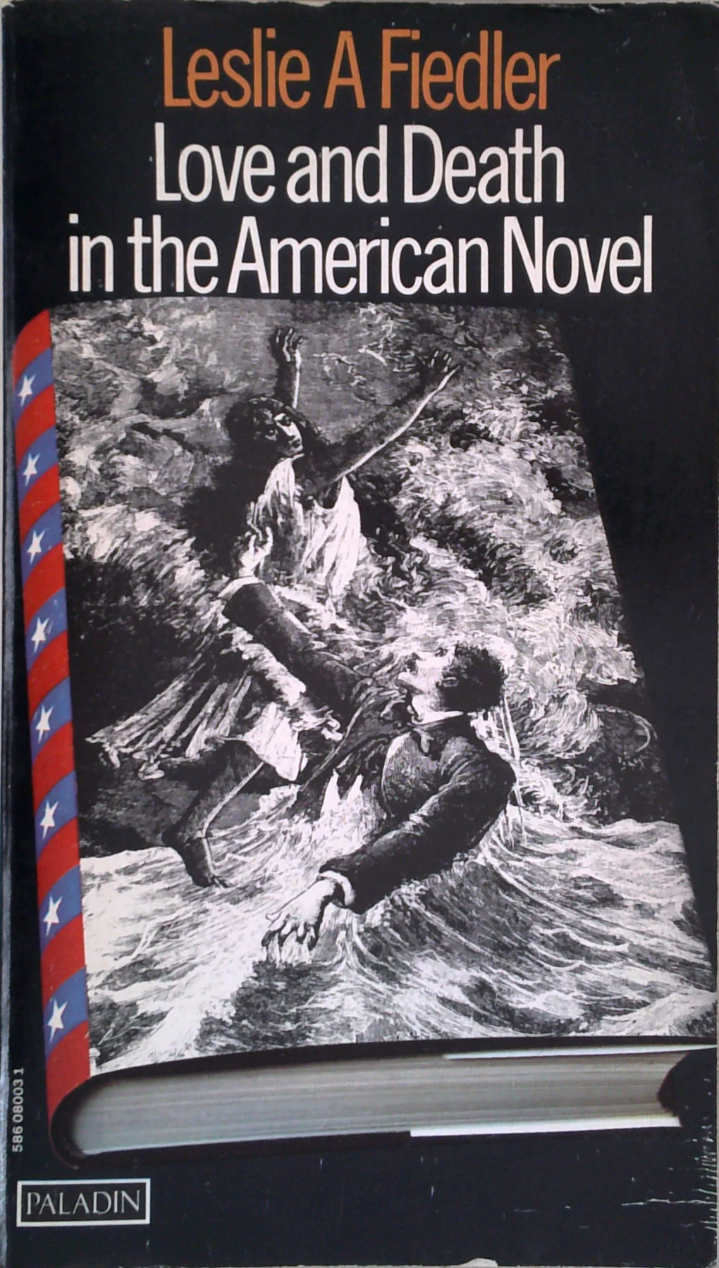 Love And Death In The American Novel