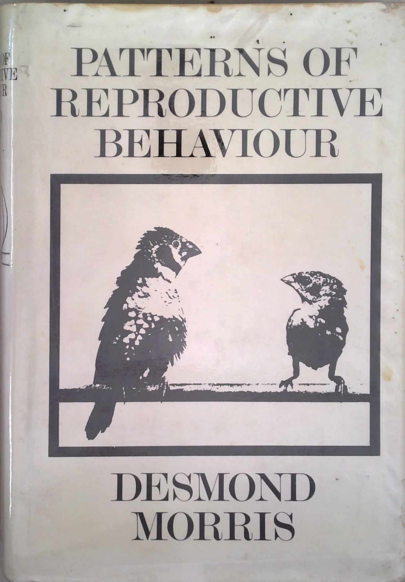 Patterns Of Reproductive Behaviour