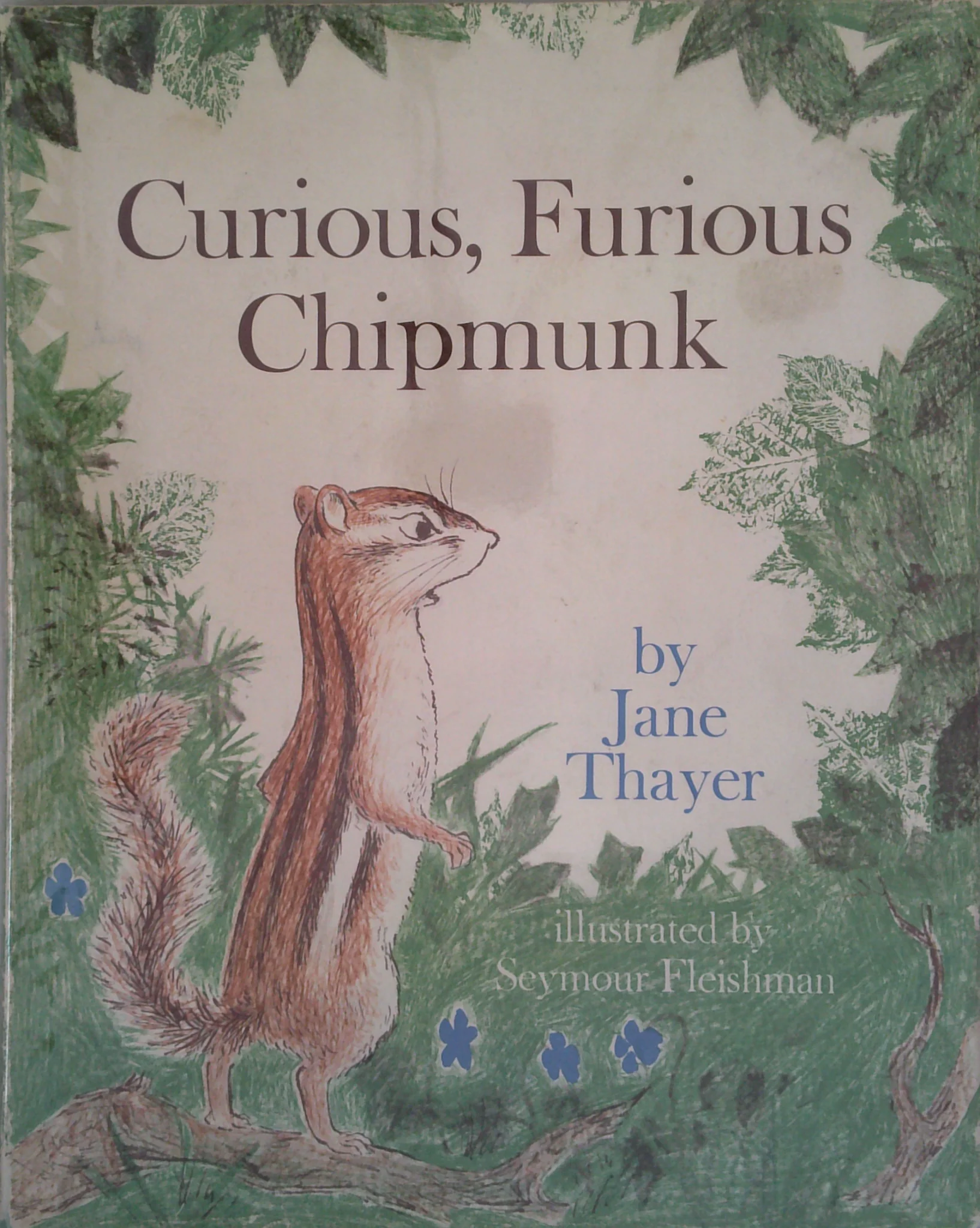 Curious, Furious Chipmunk