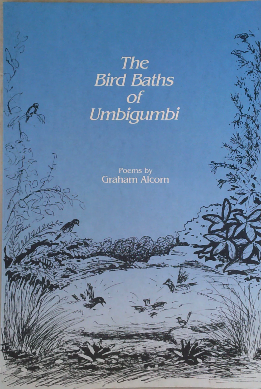 The Bird Baths Of Umbigumbi