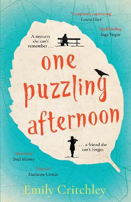 One Puzzling Afternoon: A heartbreaking, captivating mystery for fans